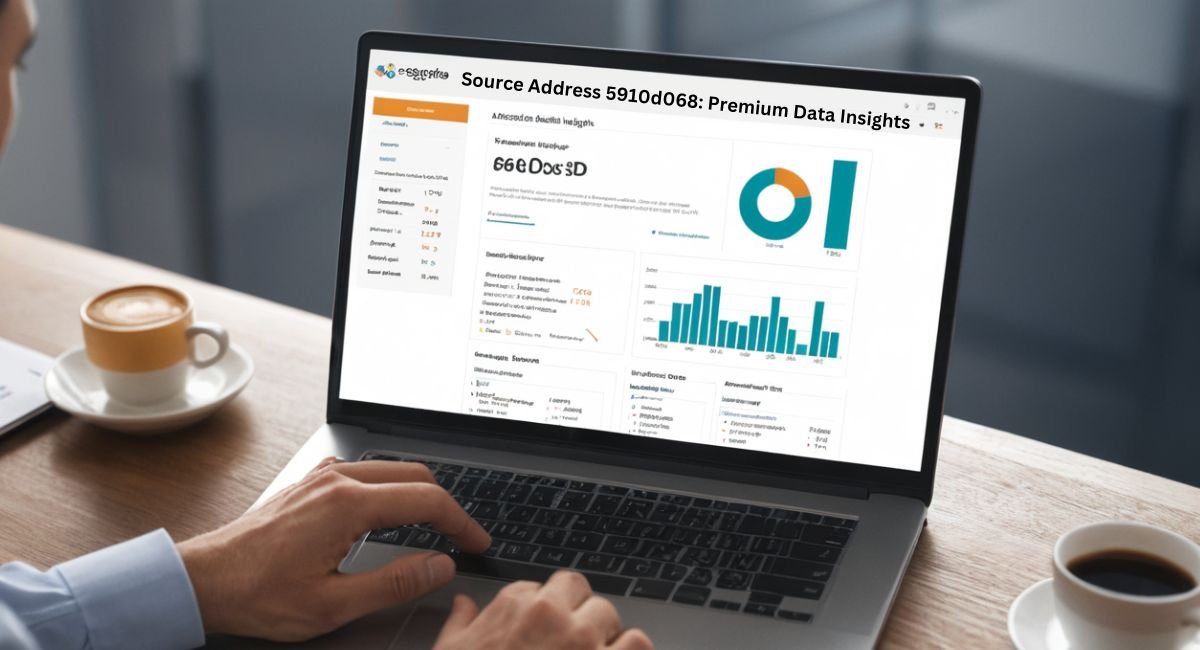 Source Address 5910d068 Premium Data Insights (1)